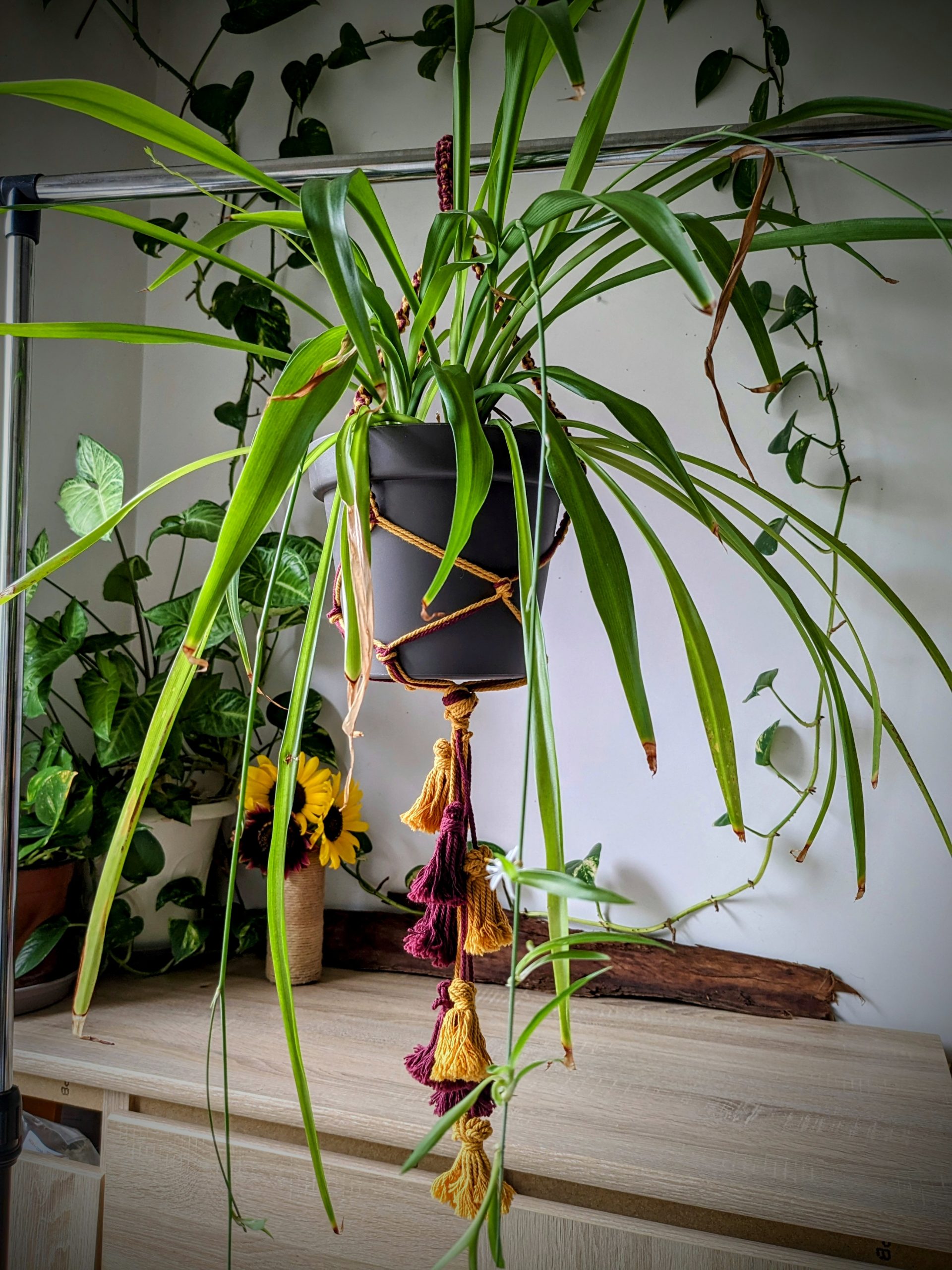 https://www.anntrapereves.com/wp-content/uploads/2023/08/suspension-macrame-plante-artisanat-creation-decoration-vase-fait-main-scaled.jpg